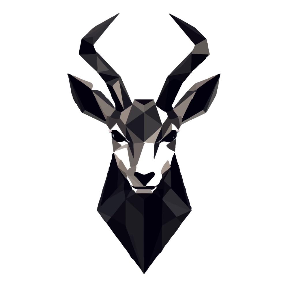 Gazelle Motorsport