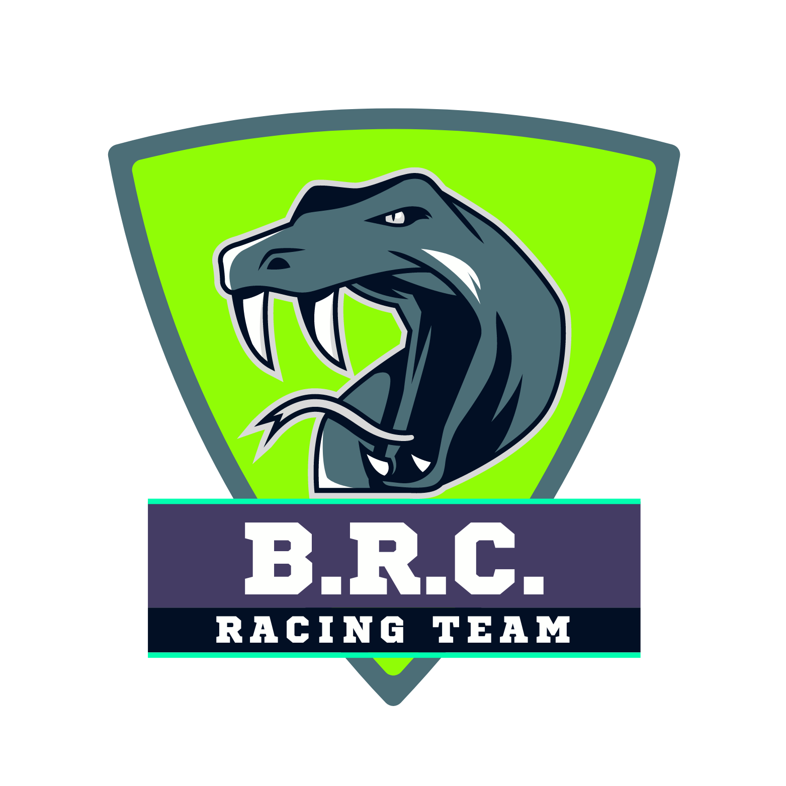 BRC Racing Team